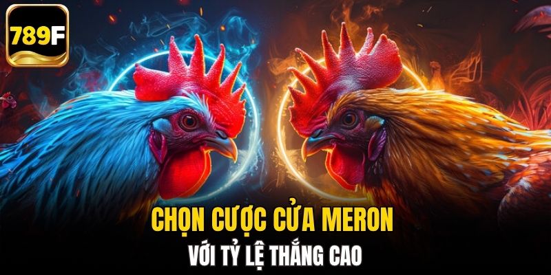 Chọn cược cửa Meron với tỷ lệ thắng cao