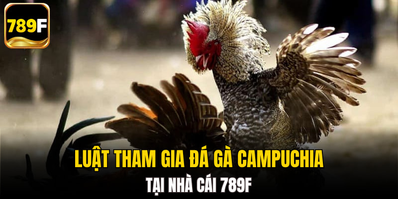 Luật tham gia đá gà Campuchia tại nhà cái
