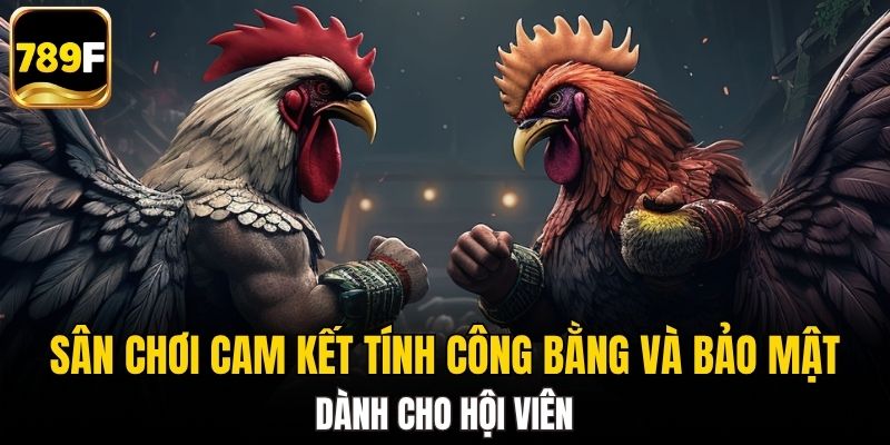 Sân chơi cam kết tính công bằng và bảo mật cho hội viên
