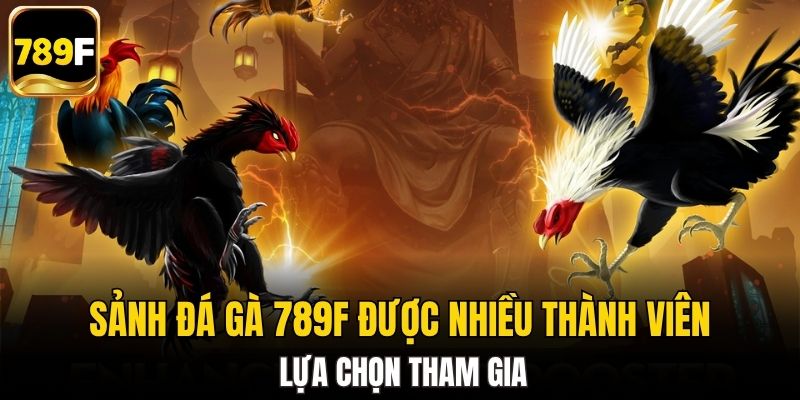Sảnh đá gà 789F được nhiều thành viên lựa chọn tham gia